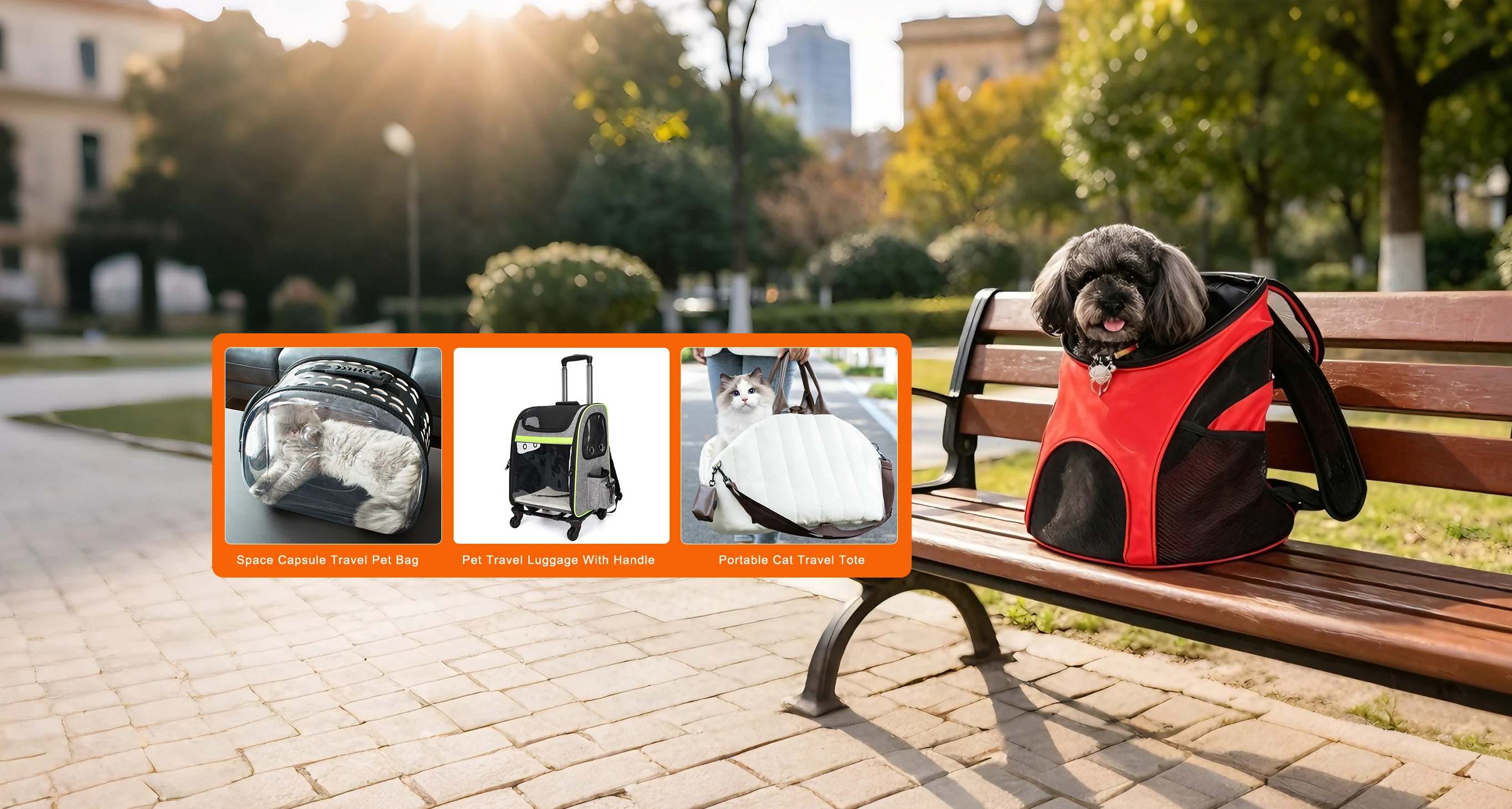 Fabricant chinois de produits professionnels pour animaux de compagnie